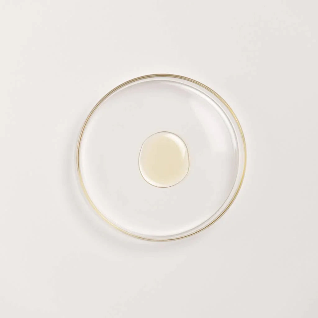 Zestaw z czarną soczewicą The Ayurveda Experience  -  Trio do Twarzy i Ciała z Potęgą Czarnej Soczewicy (The Ayurveda Experience Black Gram Edit BGT - Face and Body Trio with the Power of Black Gram)